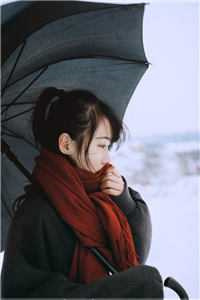 《高冷总裁的小娇妻》夏雨落